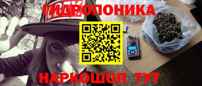 спиды Обь