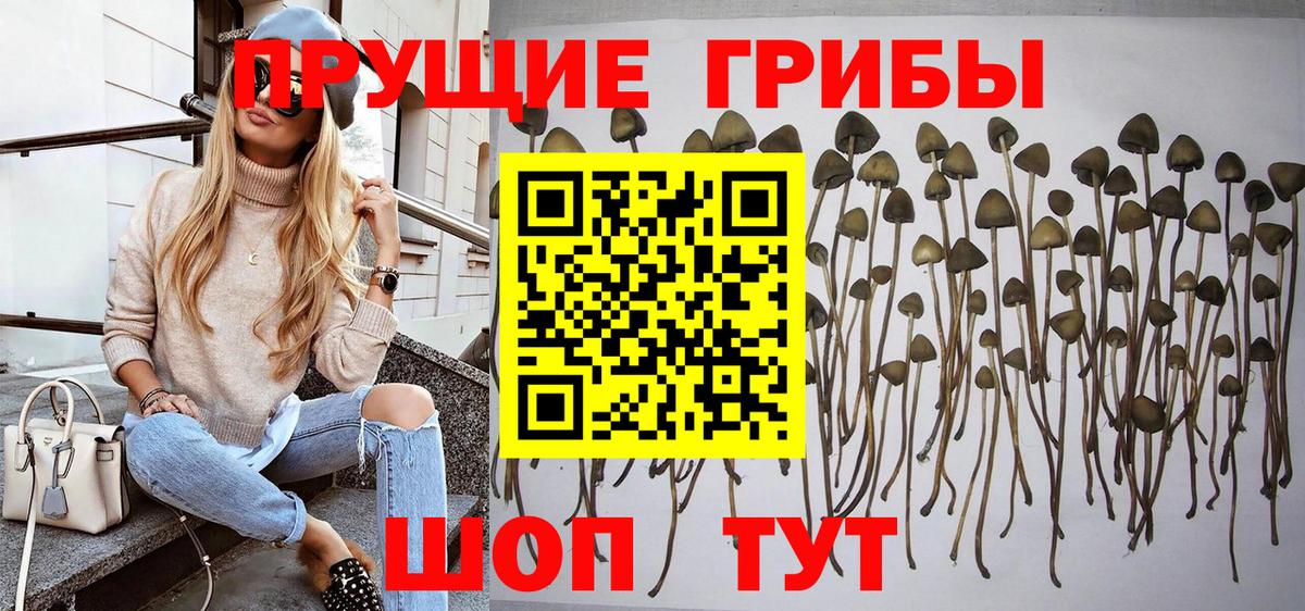 Псилоцибиновые грибы ЛСД Симферополь